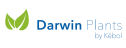 Darwin Plants (Голландия) Darwin Plants (Голландия)
