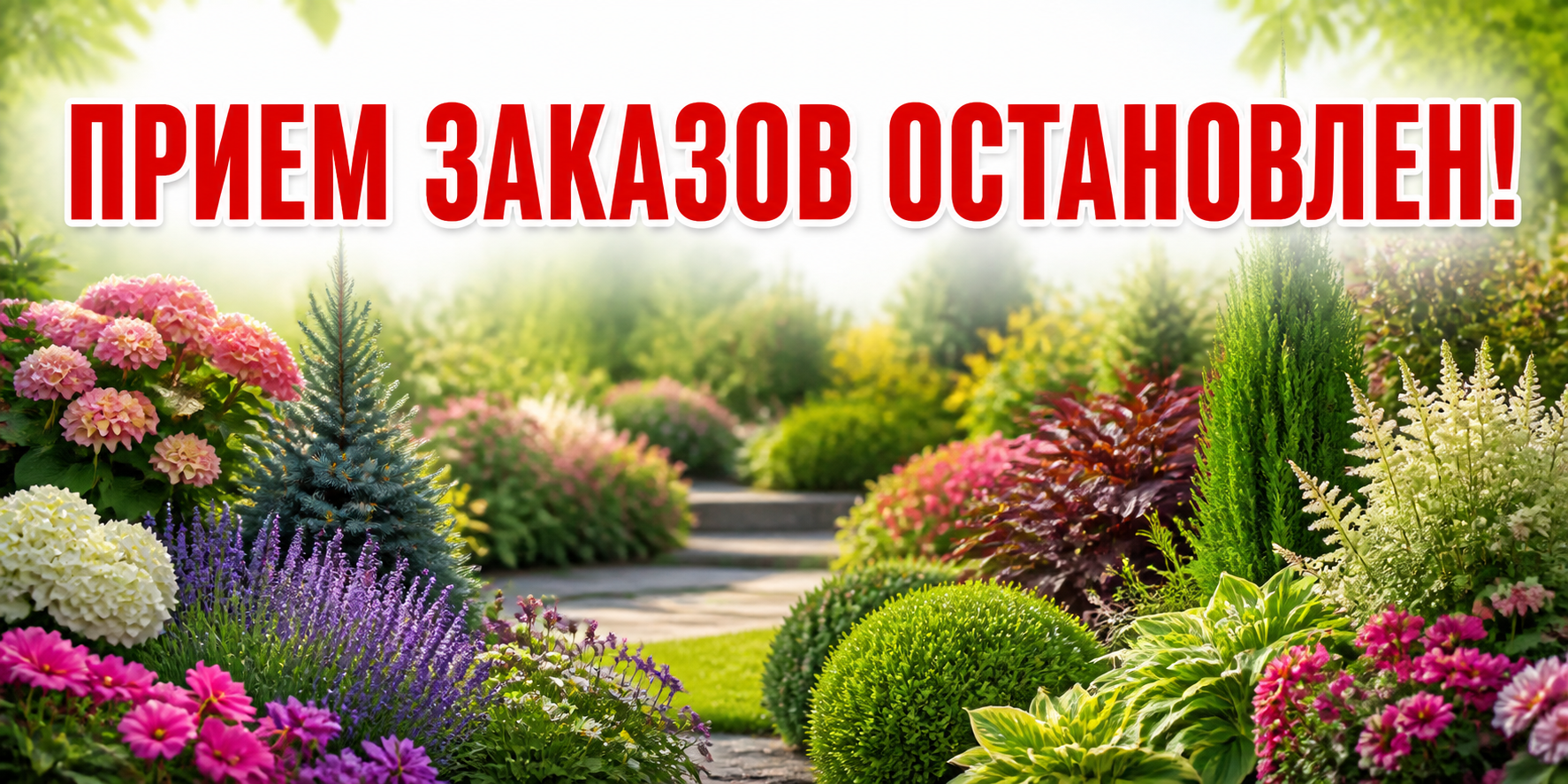 ПРИЕМ ЗАКАЗОВ ОСТАНОВЛЕН ПРИЕМ ЗАКАЗОВ ОСТАНОВЛЕН