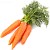 Морковь